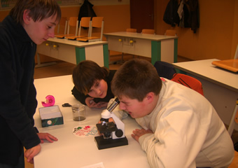 Mikroskopie der Krebschen