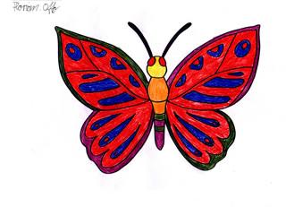 Schmetterling von Florian