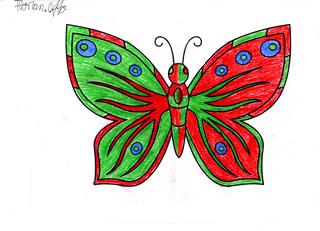 Schmetterling von Florian