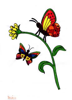 Schmetterling von Jessica